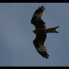 20050605_072
